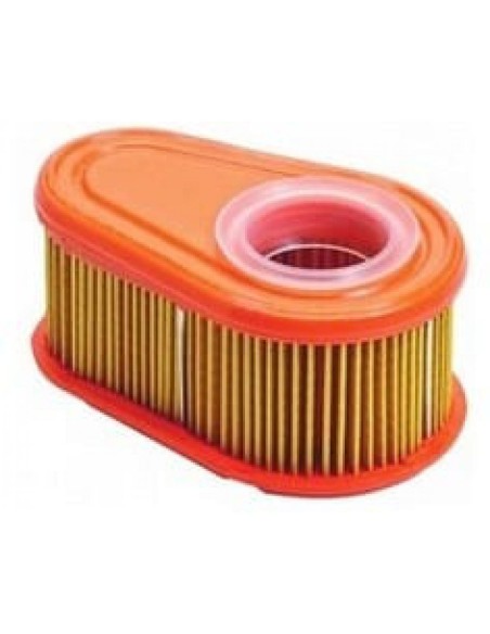 Filtre à air pour Briggs & Stratton 792038