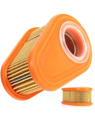 Filtre à air pour Briggs & Stratton 792038