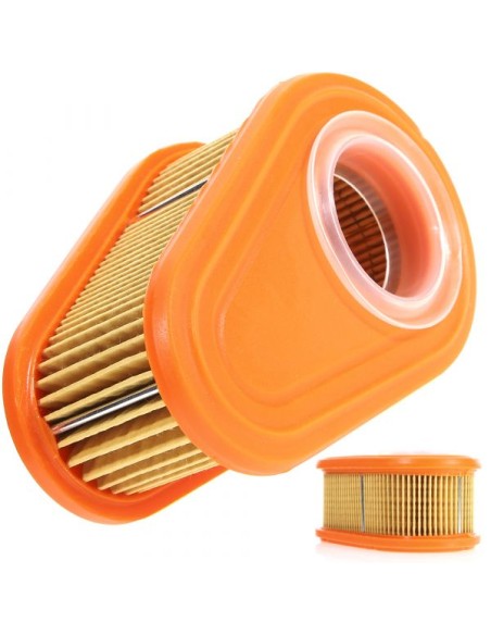 Filtre à air pour Briggs & Stratton 792038