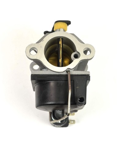 Carburateur pour Tecumseh 640330