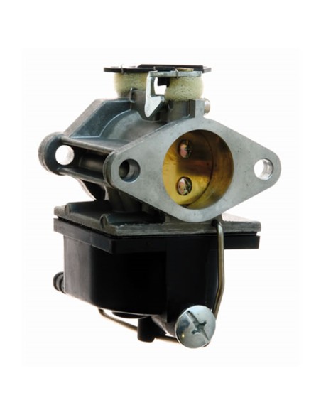 Carburateur pour Tecumseh 640065A