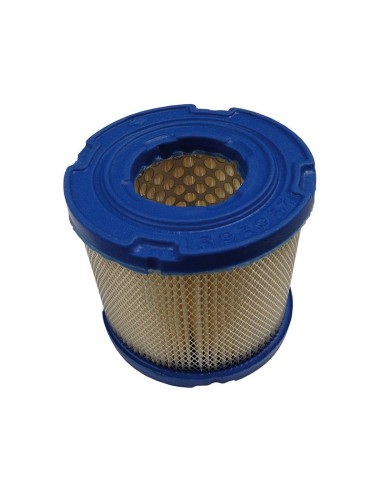 Filtre à air pour Briggs & Stratton 393957S
