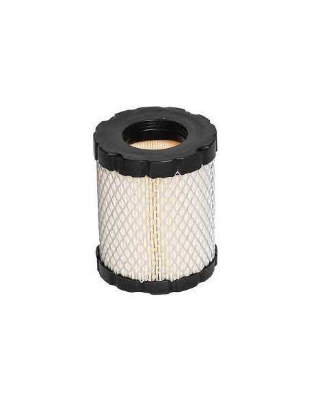 Filtre à air pour moteur Briggs & Stratton 798897