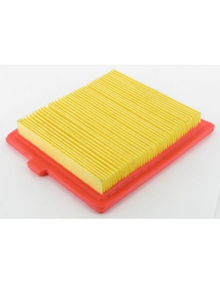 Filtre à air pour Castelgarden 118550147/0