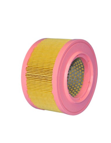 Filtre à air pour Hatz 01493000