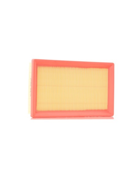 Filtre à air pour Lombardini 2175164