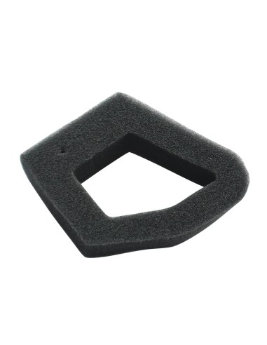 Filtre à air pour Honda 17211-ZOZ-000