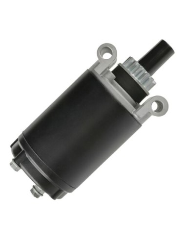 Démarreur pour moteur Kohler 1209819