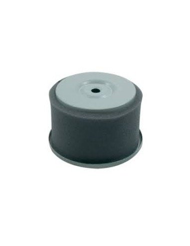 Filtre à air pour Robin 106-32602-07