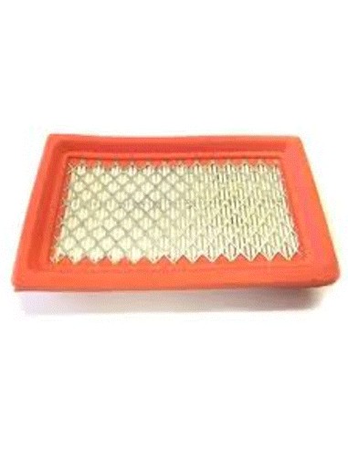 Filtre à air pour Kohler 1408319-S