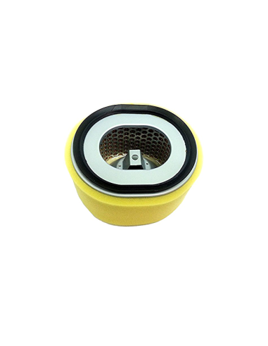 Filtre à air pour Yanmar 114210-12590