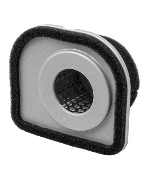 Filtre à air pour Toro 49064-2059