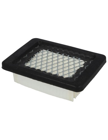 Filtre à air pour Kawasaki 11013-2240