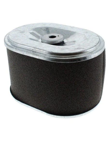 Filtre à air pour moteur Loncin 180100034-0001