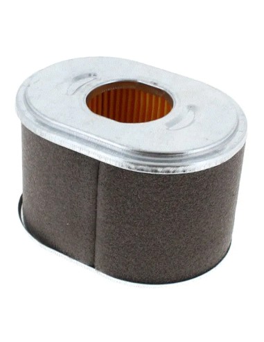Filtre à air pour moteur Loncin 180100034-0001