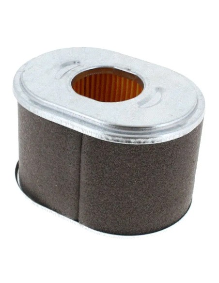 Filtre à air pour moteur Loncin 180100034-0001