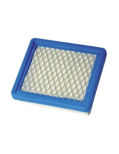 Filtre à air pour Tecumseh 36046