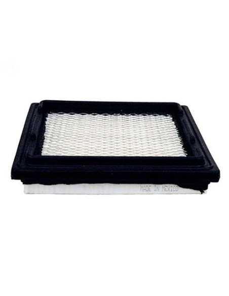 Filtre à air pour Tecumseh 37360