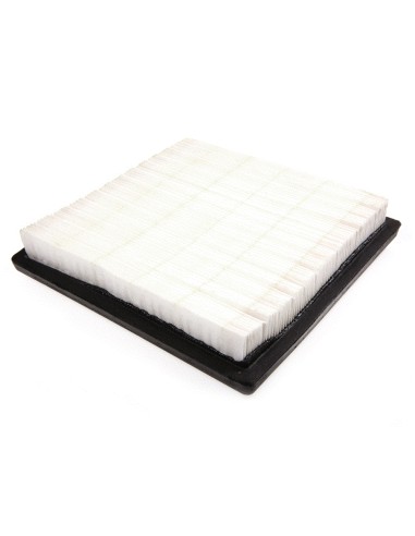 Filtre à air pour Tecumseh 37360