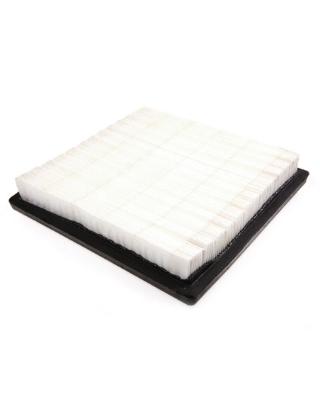 Filtre à air pour Tecumseh 37360