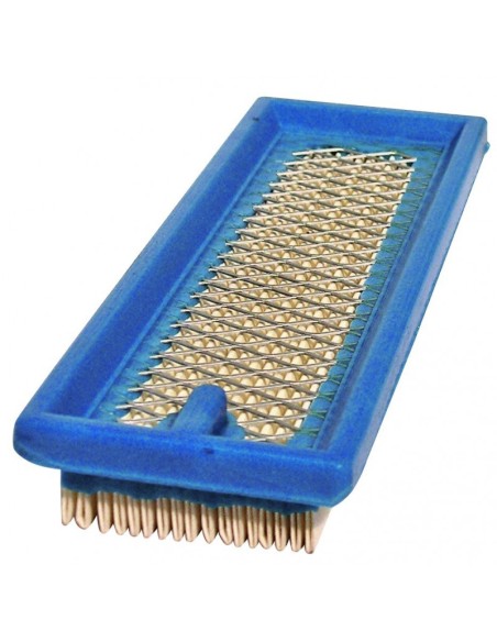 Filtre à air pour Tecumseh 35500