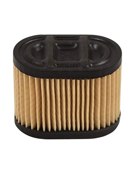Filtre à air pour Tecumseh 36745