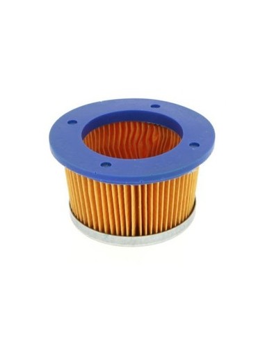 Filtre à air pour Tecumseh 30727