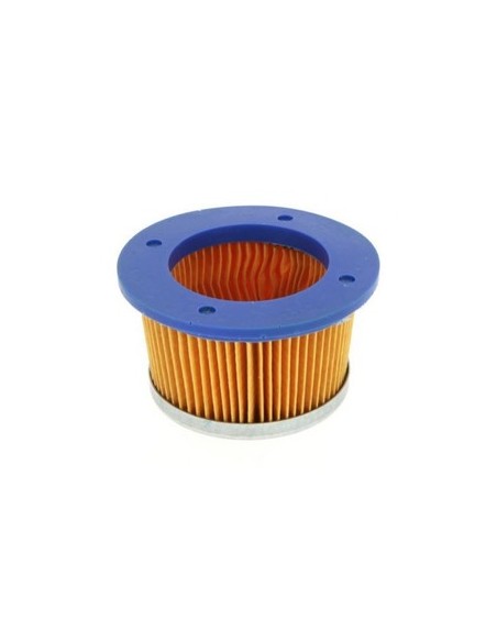 Filtre à air pour Tecumseh 30727