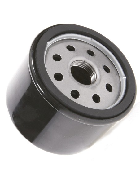 Filtre à huile pour Briggs & Stratton 492932S