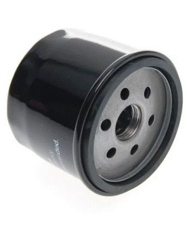 Filtre à huile pour Briggs & Stratton 492932S