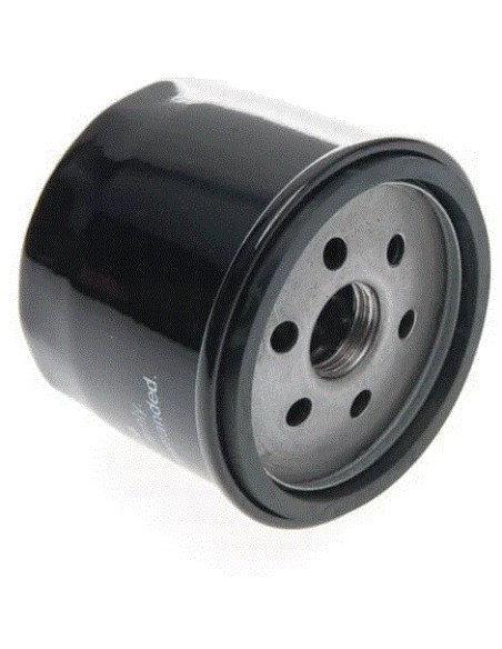Filtre à huile pour Briggs & Stratton 492932S