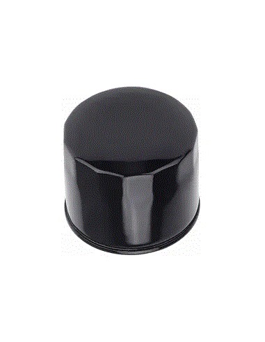 Filtre à huile pour John Deere AM125424