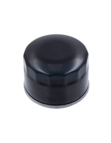 Filtre à huile pour moteur Loncin 150350037-0001