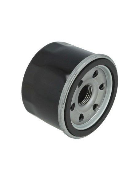 Filtre à huile pour Lombardini 2175283