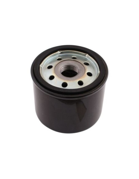 Filtre à huile pour Lombardini 2175028