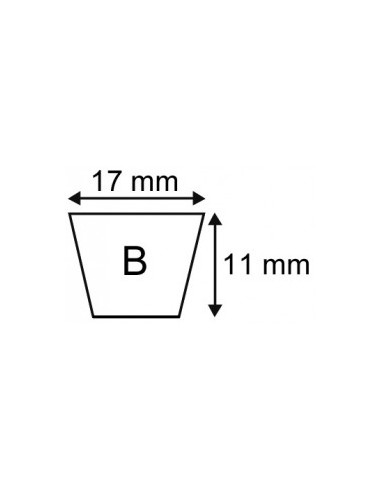 Courroie profil B - Li 1372 mm 17 x 11 - B54