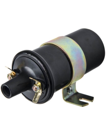 Bobine d'allumage pour Kohler 4151921-S