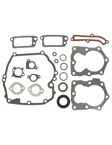 Kit joints moteur pour Briggs & Stratton 590508