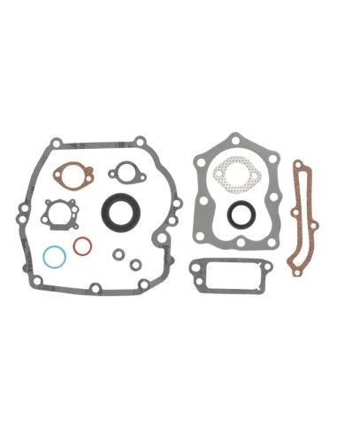 Kit joints moteur pour Briggs & Stratton 496117