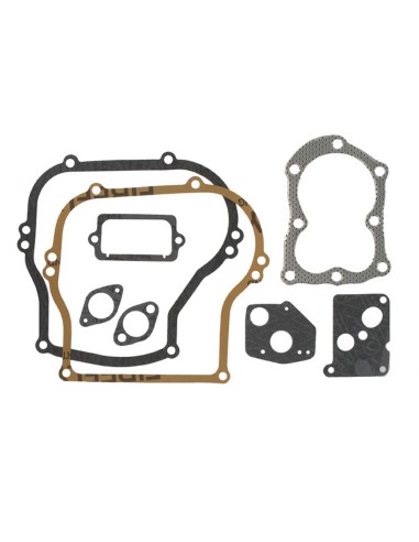 Kit joints moteur pour Briggs & Stratton 496659