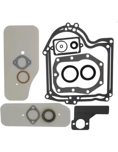 Kit joints moteur pour Briggs & Stratton 393411