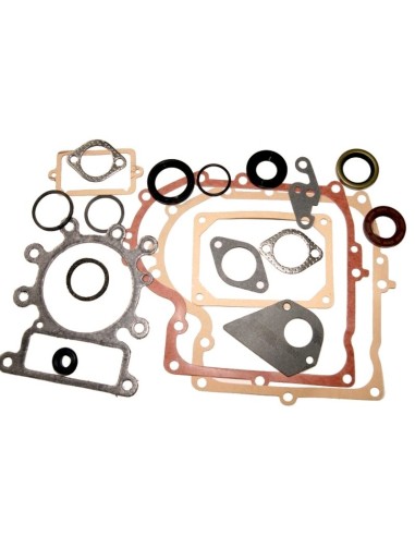 Kit joints moteur pour Briggs & Stratton 495993