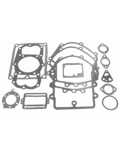 Kit joints moteur pour Briggs & Stratton 495868