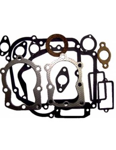 Kit joints moteur pour Tecumseh 33740F