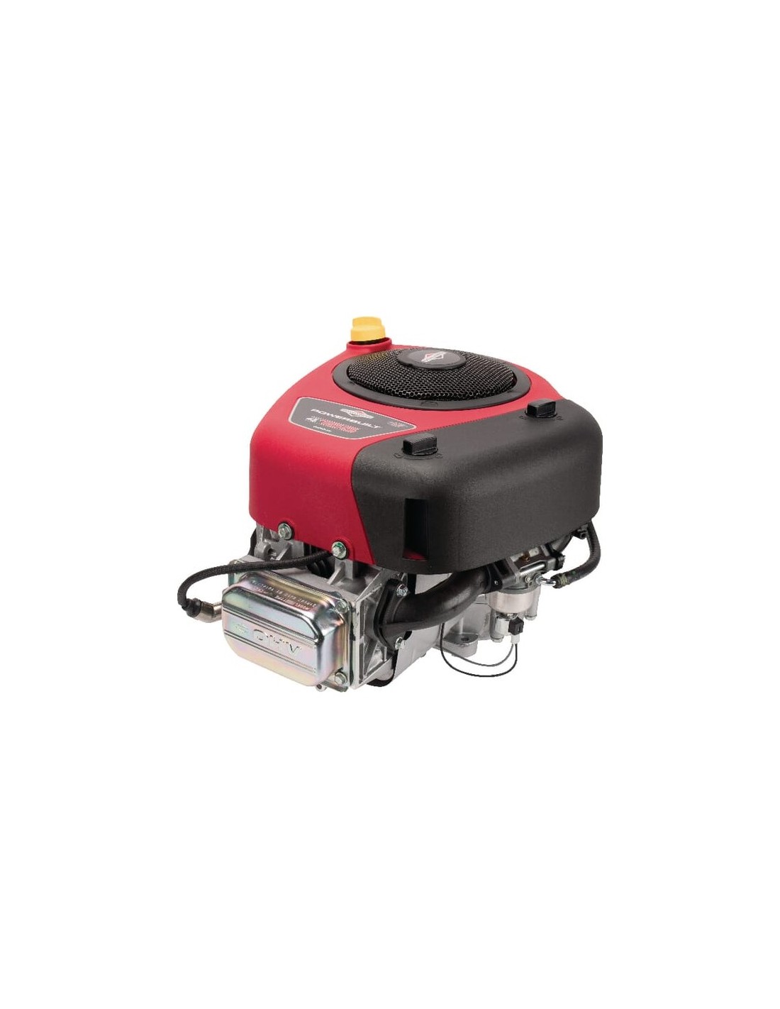 Moteur Briggs Stratton Intek Cc