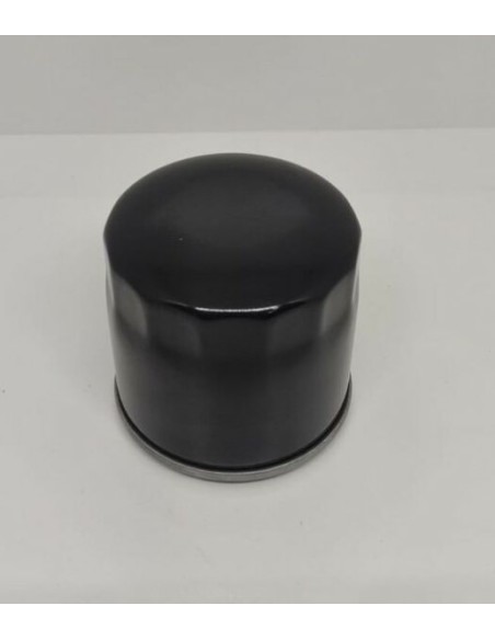 Filtre à huile pour Emak L66151517