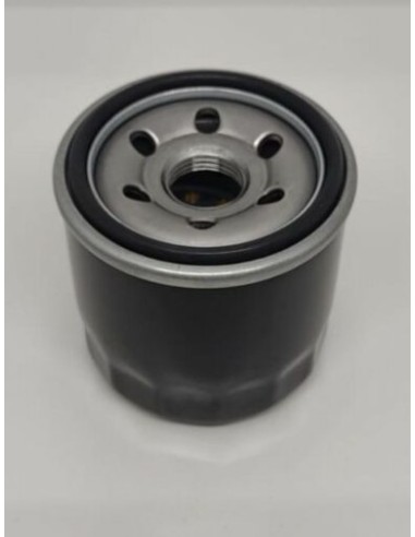 Filtre à huile pour Emak L66151517