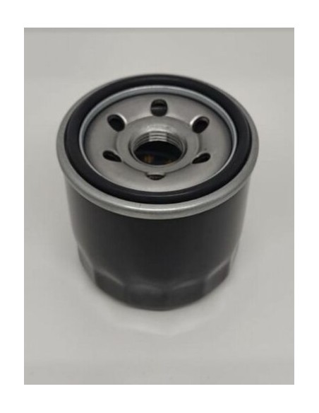 Filtre à huile pour Emak L66151517