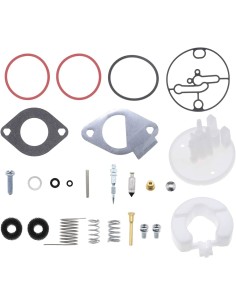 Kit réparation carburateur pour Briggs & Stratton 698787