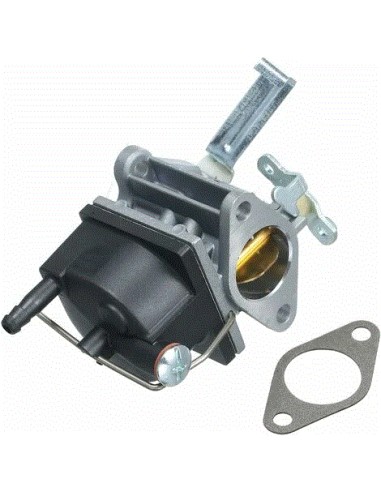 Carburateur pour Tecumseh 640221